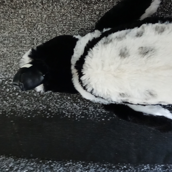 Penguin stuffed animal - Picture 7 of 8